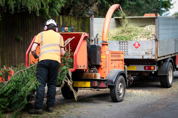 Mulching Services